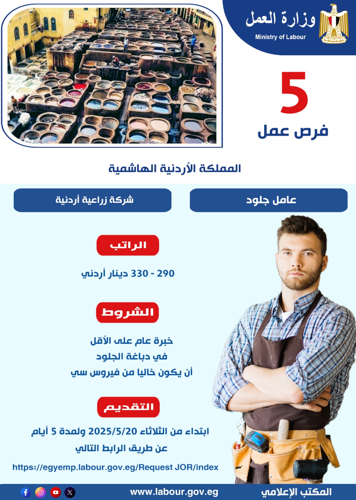 وزير القوى العامله 
